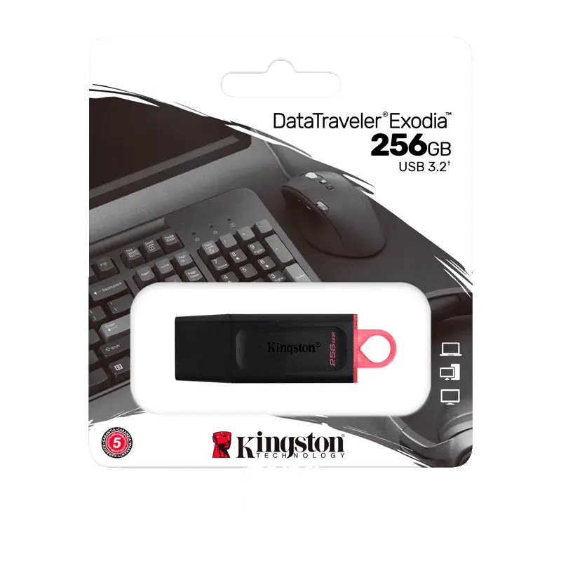Kingston DataTraveler Exodia 256GB - USB 3.2 Flash Drive